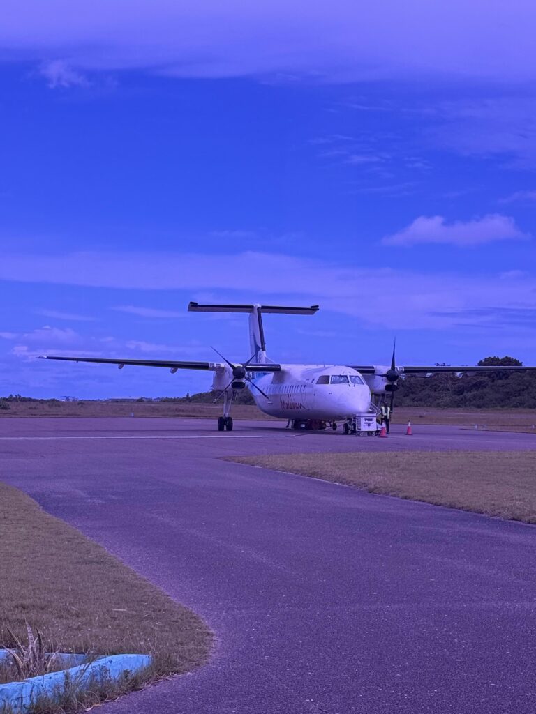 domestic flight in maldives