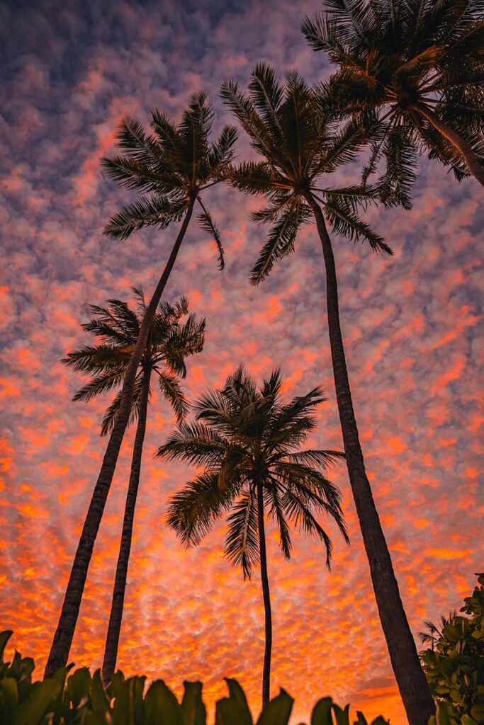 Maldives travel tips - beach sunset view peaceful maldives
